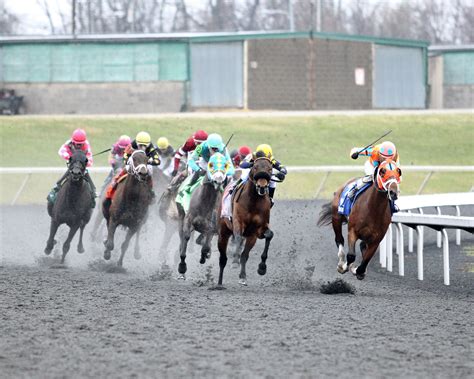 twinspires carryovers|Horse Racing Carryover Pools .